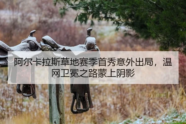 a-er-ka-la-si-cao-di-sai-ji-shou-xiu-yi-wai-chu-ju-wen-wang-wei-mian-zhi-lu-meng-shang-yin-ying-2-182.jpg